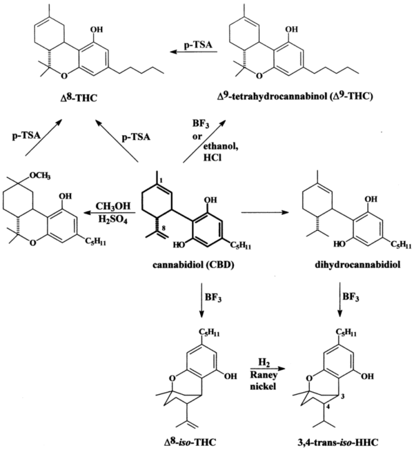 Is Delta8 THC legal in South Carolina and North Carolina? Life Leaf