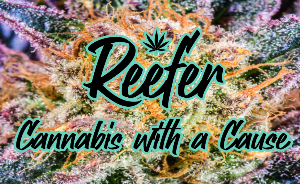 reefer cannabis cause e1697578551752